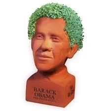 Image result for obama chia pet