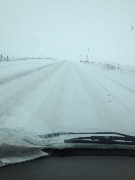 Hartsburg Blacktop, April 2016